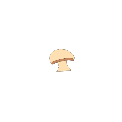 Mushroom drawing by Shandi