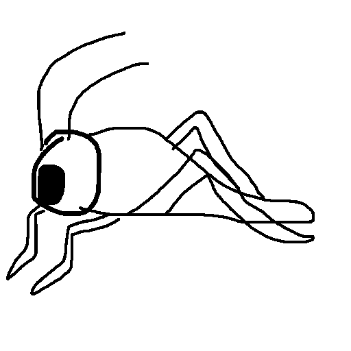 Grasshopper drawing by mikestam195