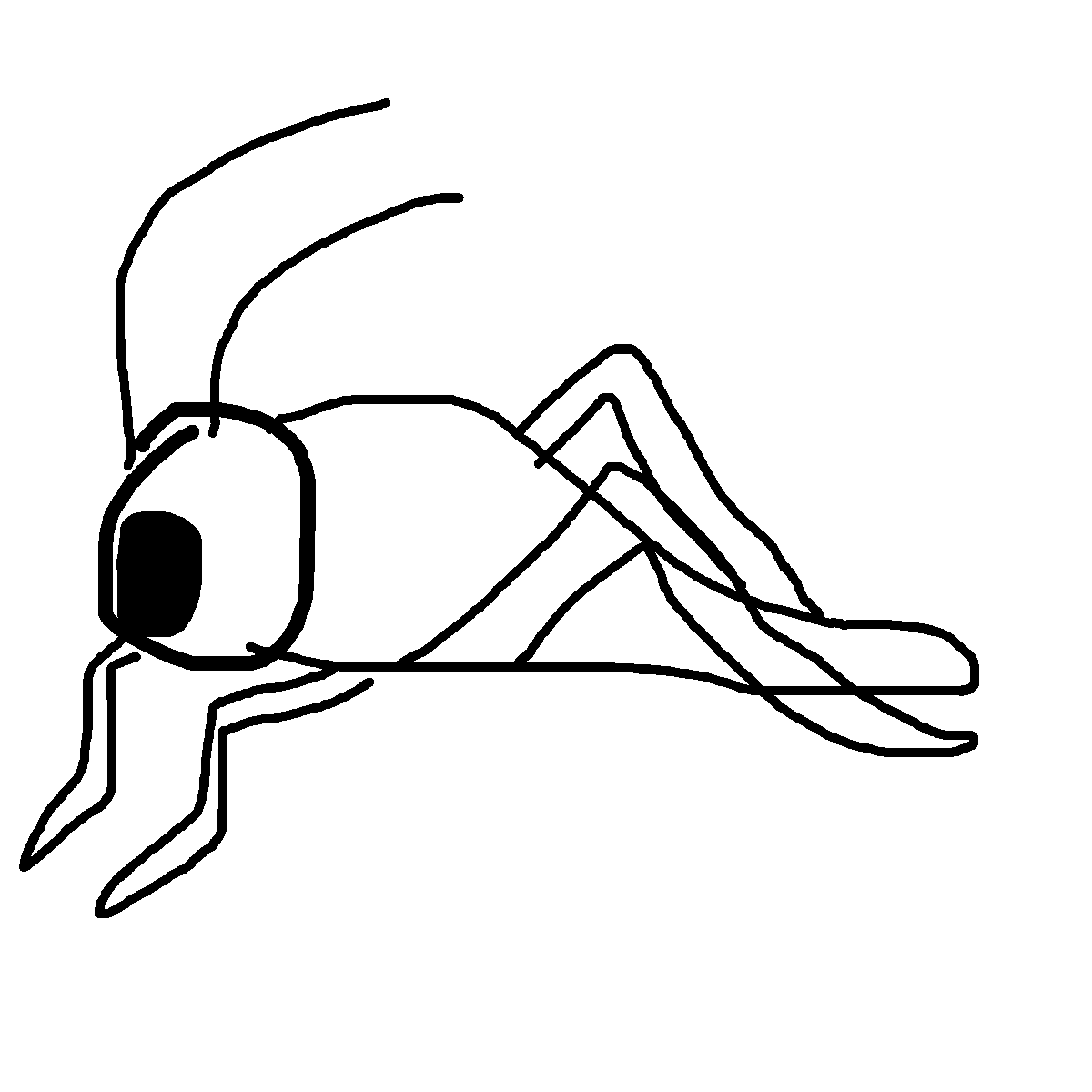 Grasshopper drawing by mikestam195