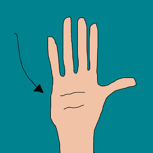 Palm drawing by krissywissy