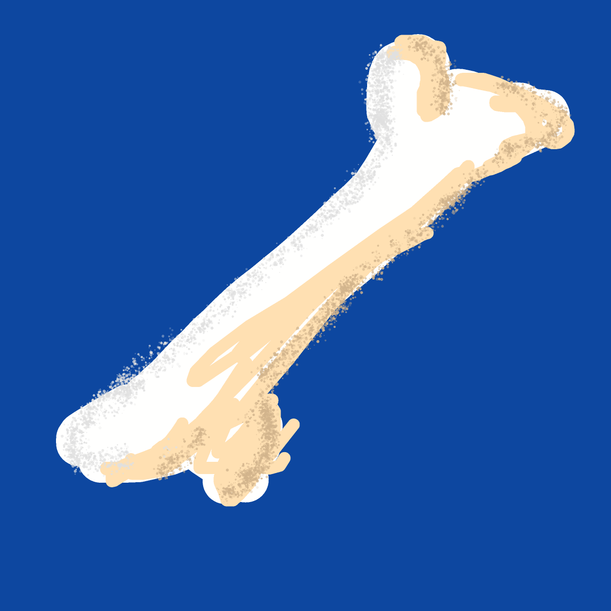 Bone drawing by bones