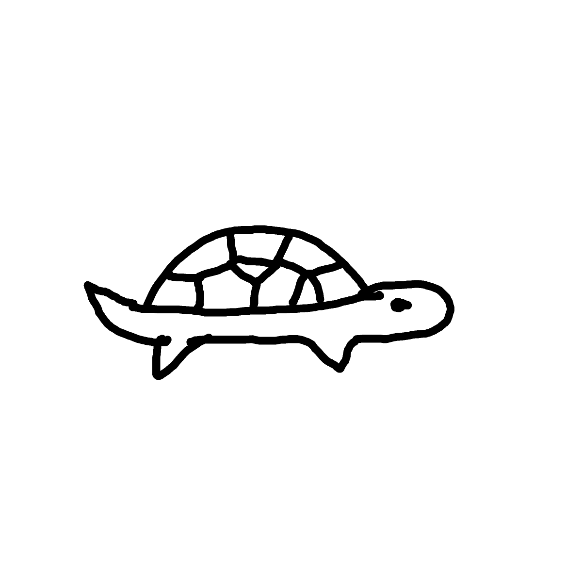 Turtle drawing by doublem