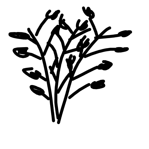 Wheat drawing by sonic-bold-major