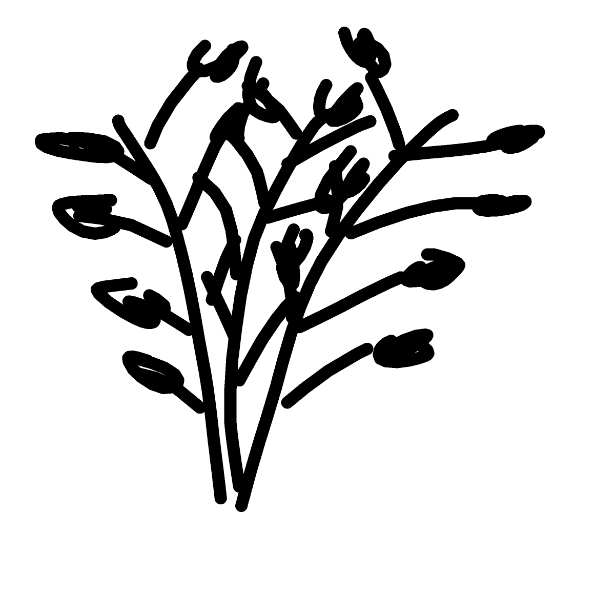 Wheat drawing by sonic-bold-major