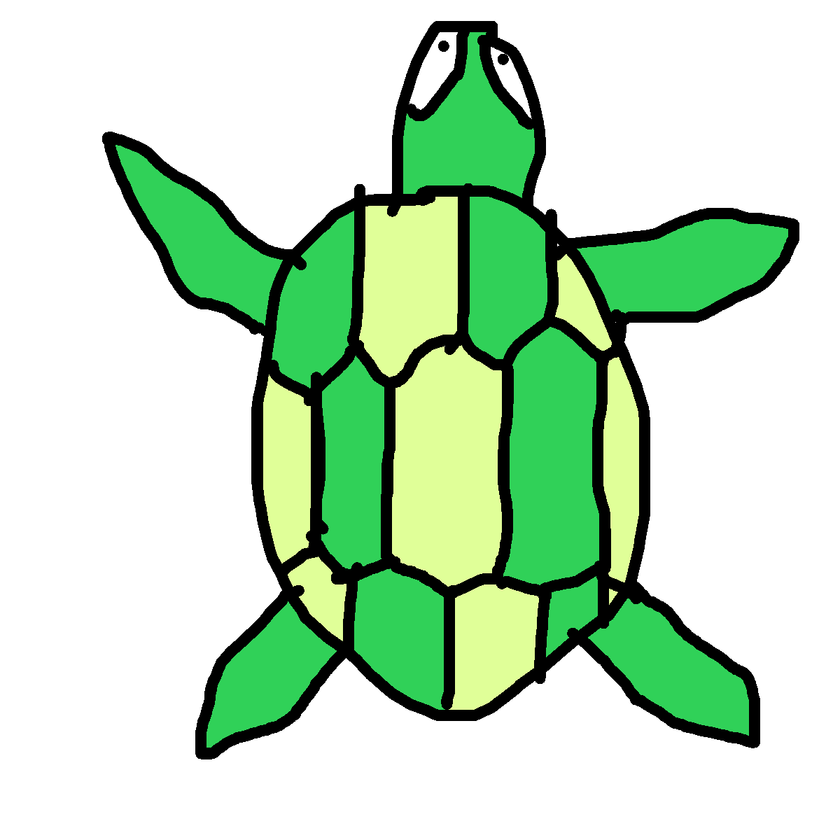Turtle drawing by coal-rose-sketch