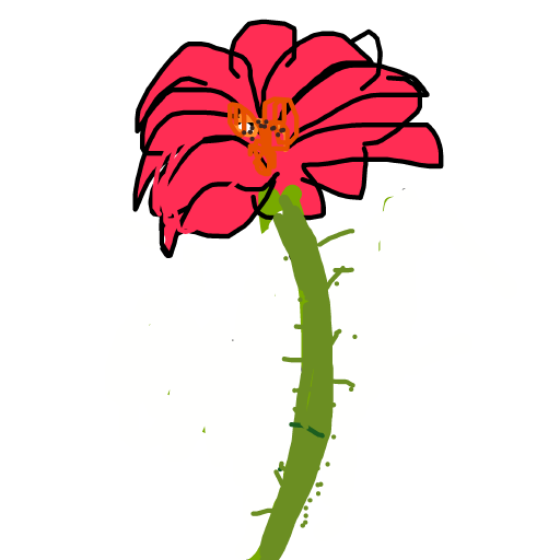 Rose drawing by jivemarlin