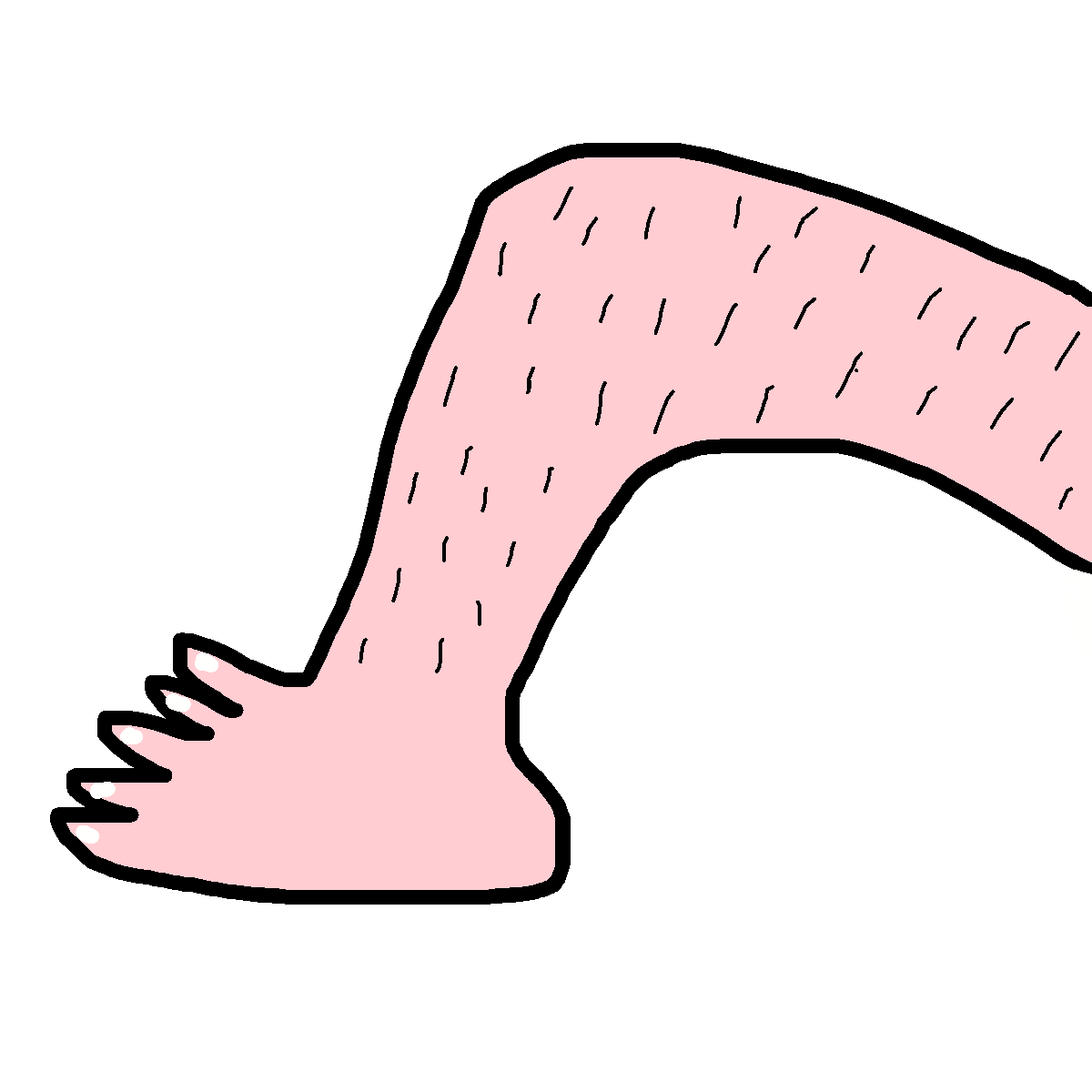 Leg drawing by jashezilla