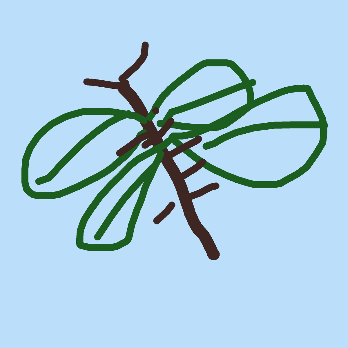 Dragonfly drawing by jester