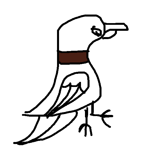 Parrot drawing by mikestam195