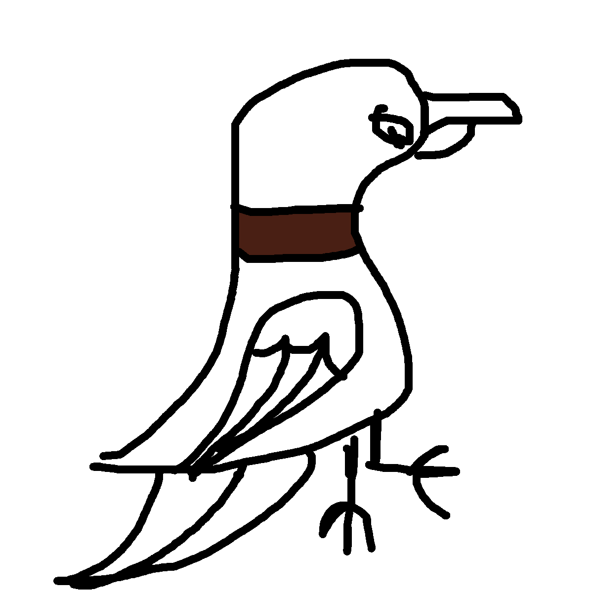Parrot drawing by mikestam195