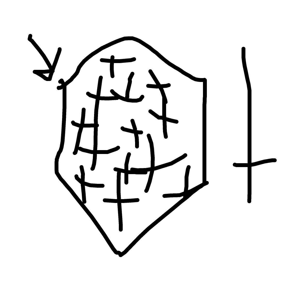Shield drawing by kurtie