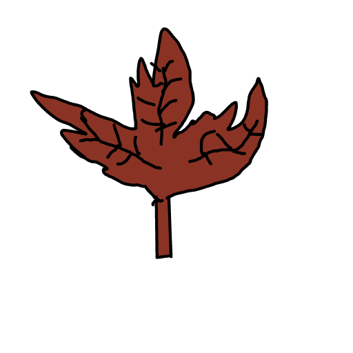 Maple Leaf drawing by Almog