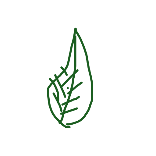 Leaf drawing by sage-sharp-crown
