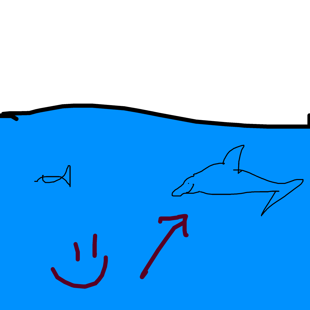 Dolphin drawing by loddie