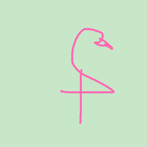 Flamingo drawing by grou