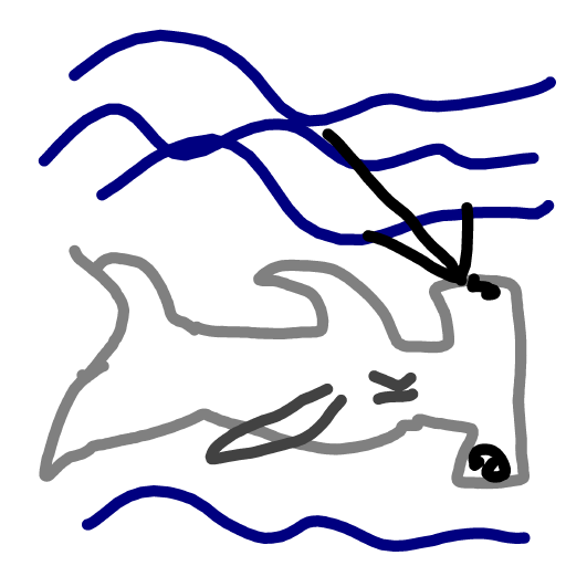 Hammerhead drawing by cream-live-style
