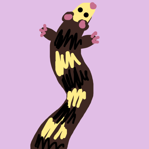 Ferret drawing by knoxy