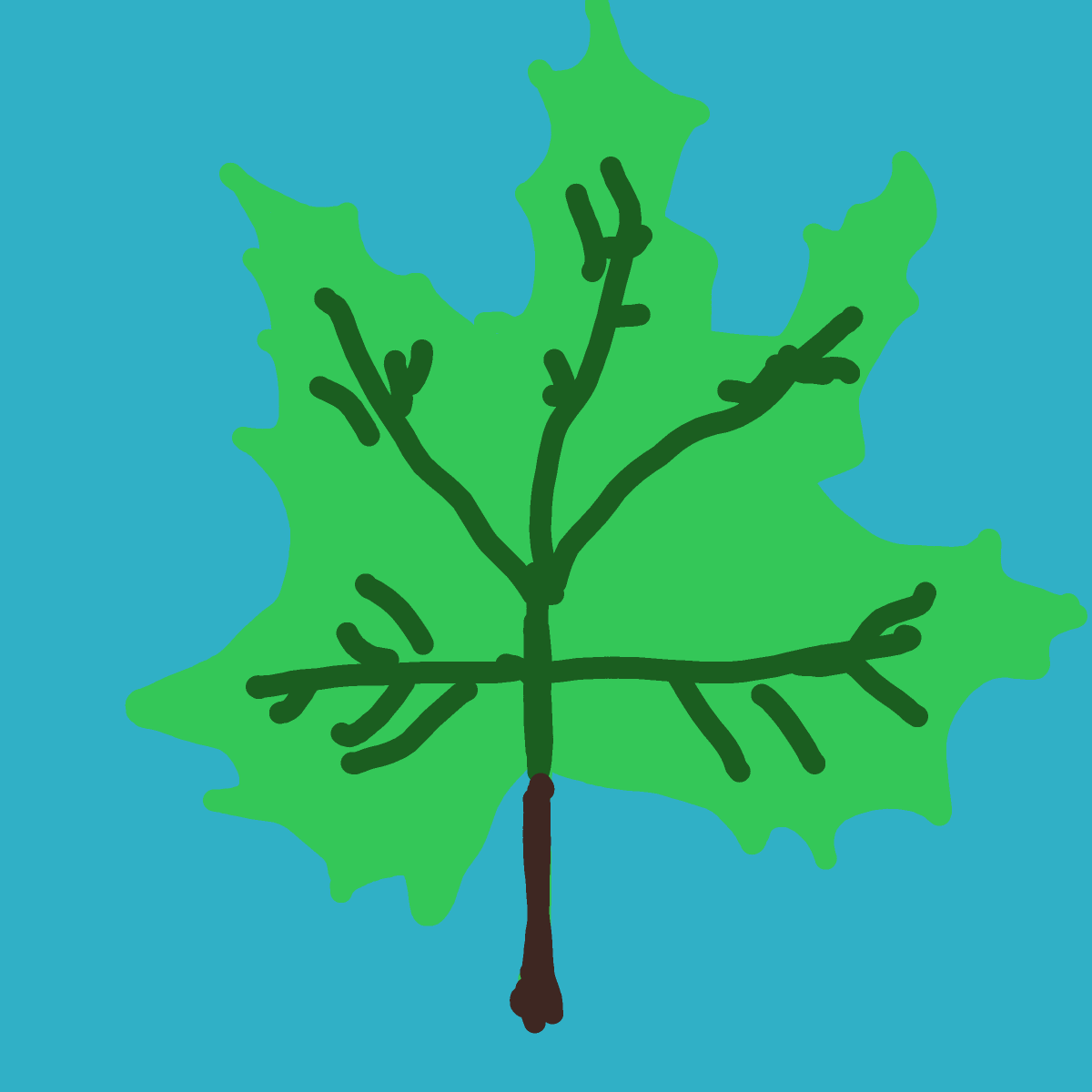 Leaf drawing by Guardianoflives