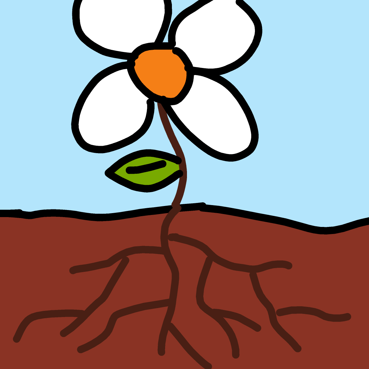 Root drawing by sonic-bold-major