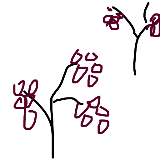 Vine drawing by bia