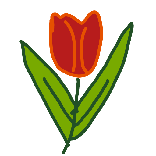 Tulip drawing by Shandi