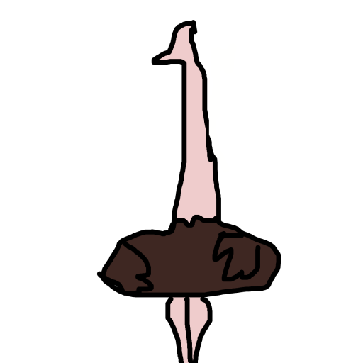 Ostrich drawing by nyca