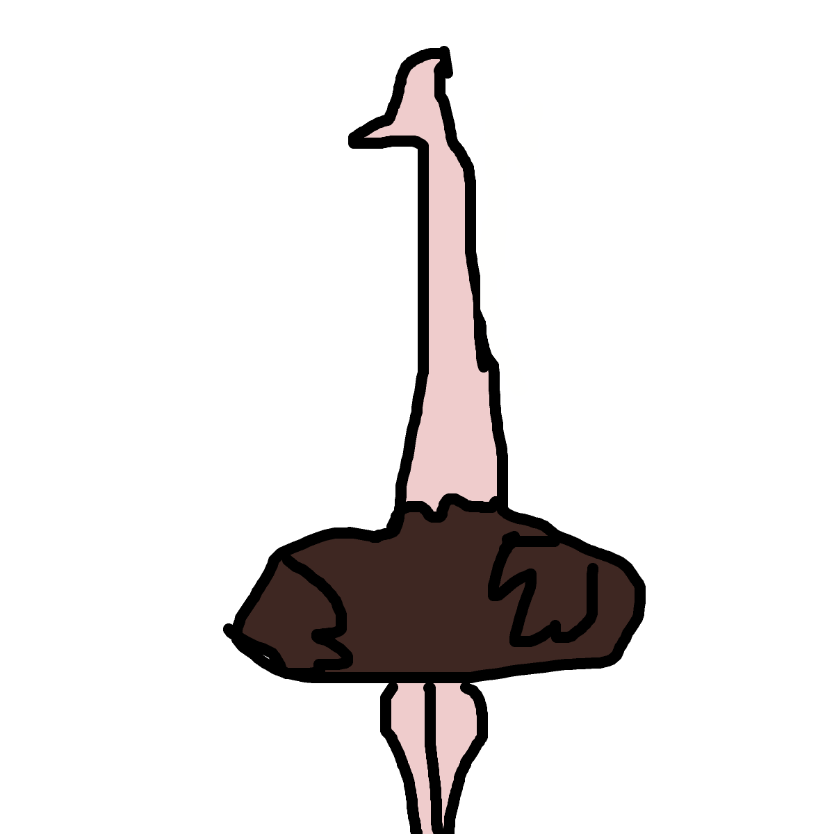Ostrich drawing by nyca