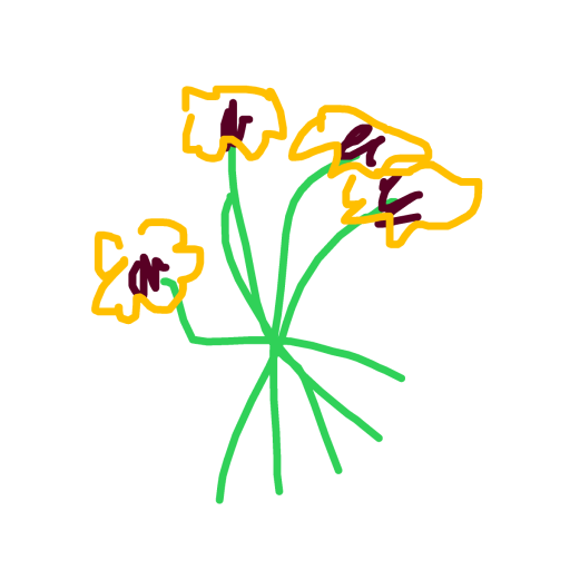 Bouquet drawing by toulik