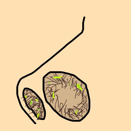 Nostril drawing by mikl pickle