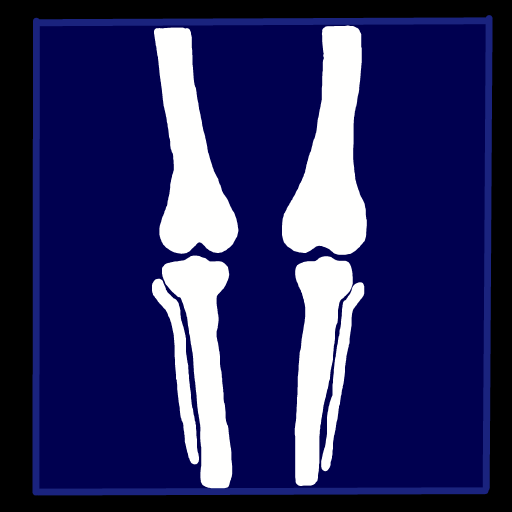 Bone drawing by marimou