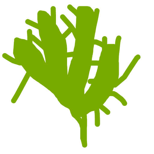 Cactus drawing by rose