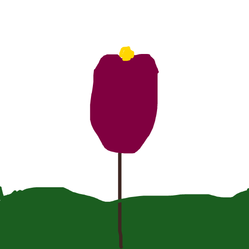 Tulip drawing by bia
