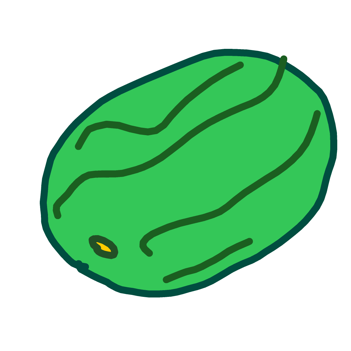 Watermelon drawing by Juliezzz