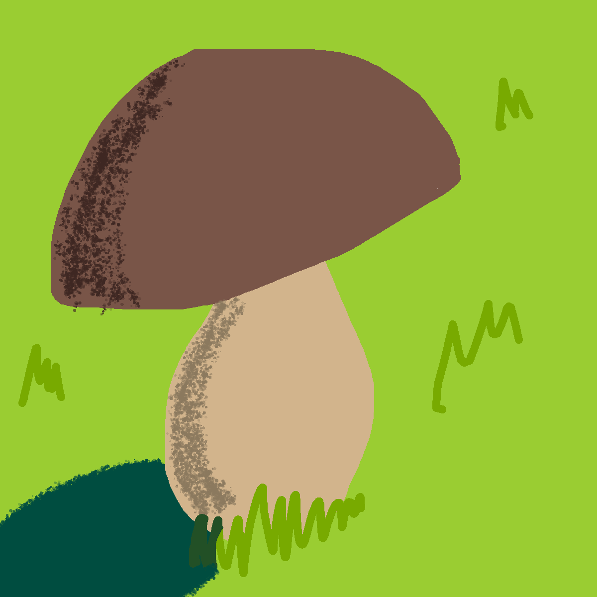 Mushroom drawing by nicodarunia
