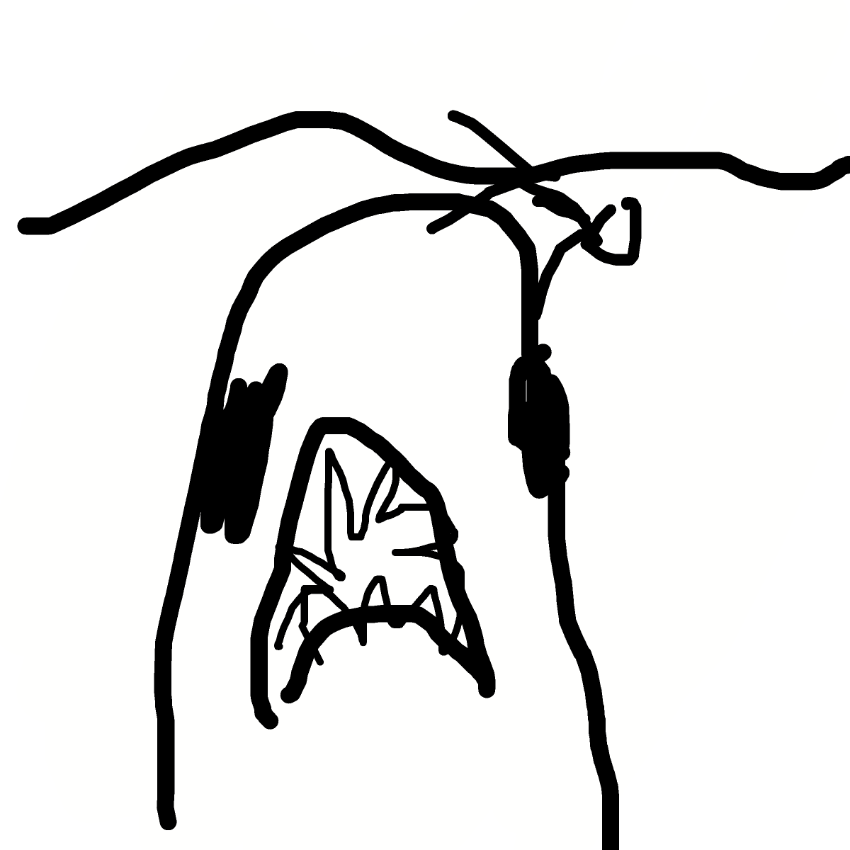 Megalodon drawing by jopotihnik