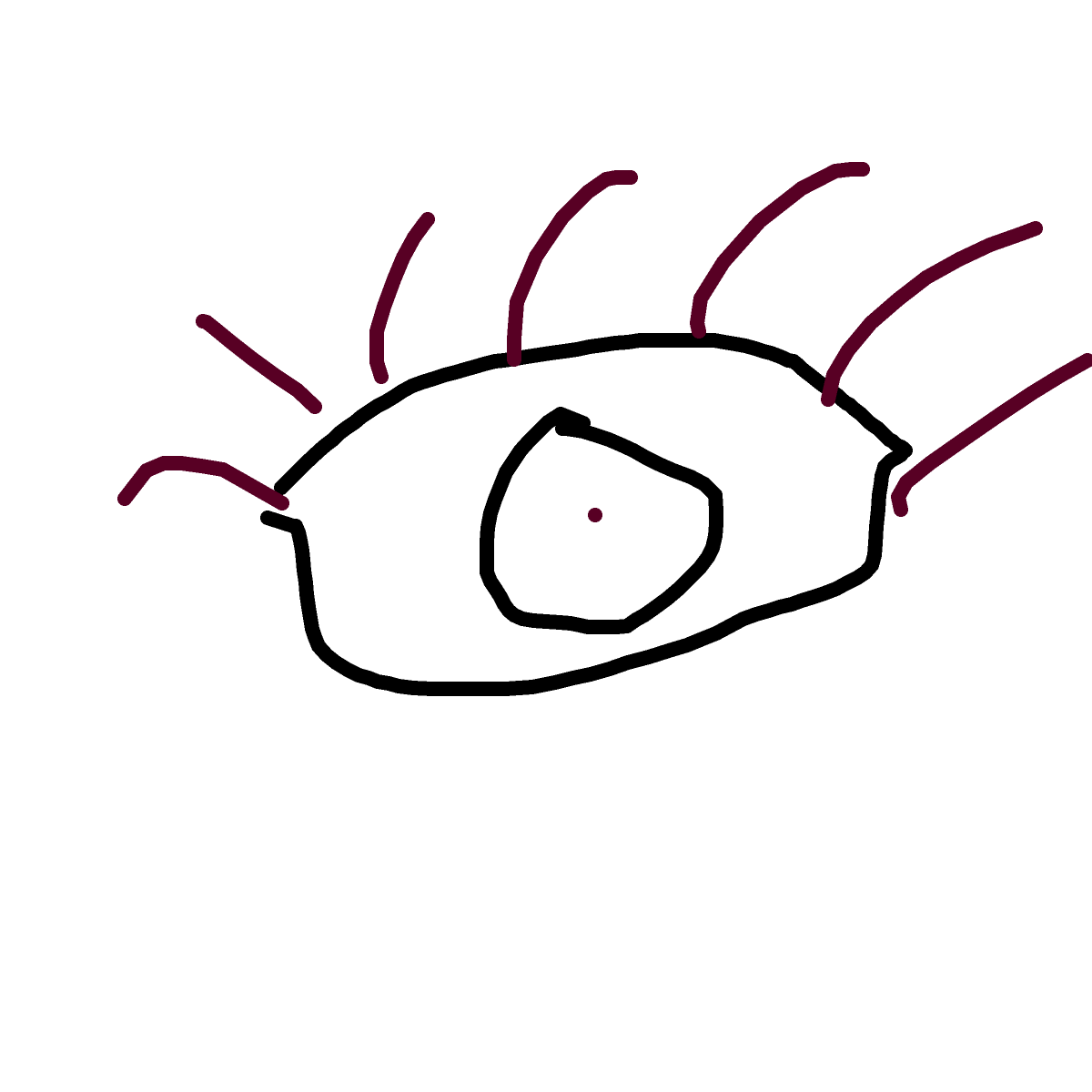 Eye drawing by luke frazier