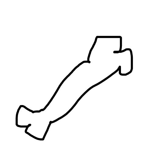 Bone drawing by ldiot