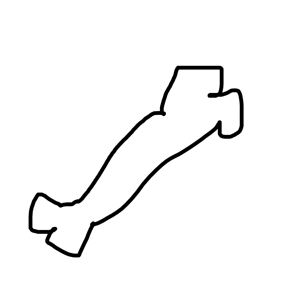 Bone drawing by ldiot