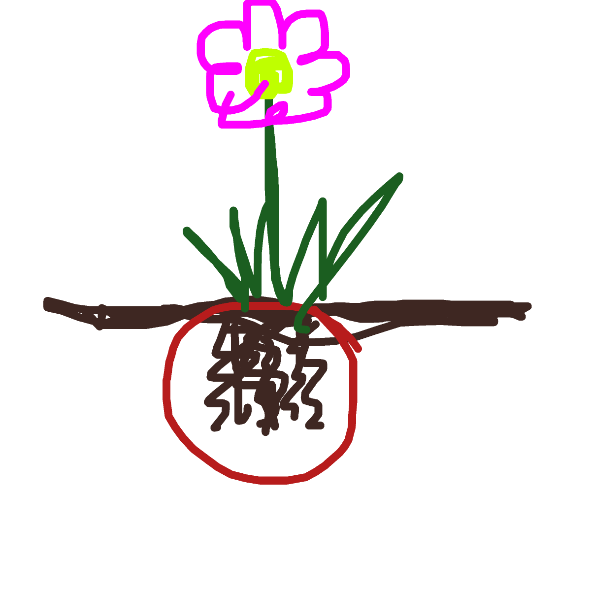Root drawing by sure-mega-pride