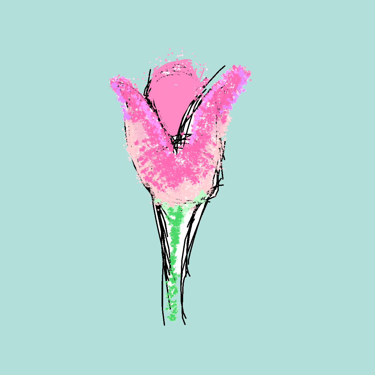 Tulip drawing by pearl-aqua-crest