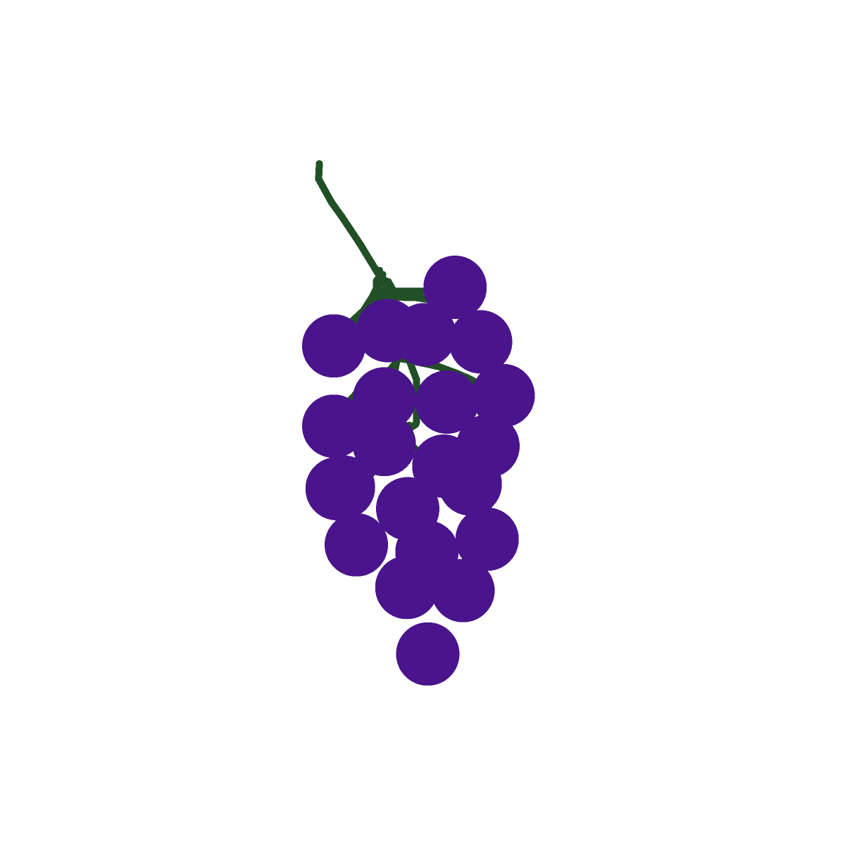 Grapes drawing by loddie