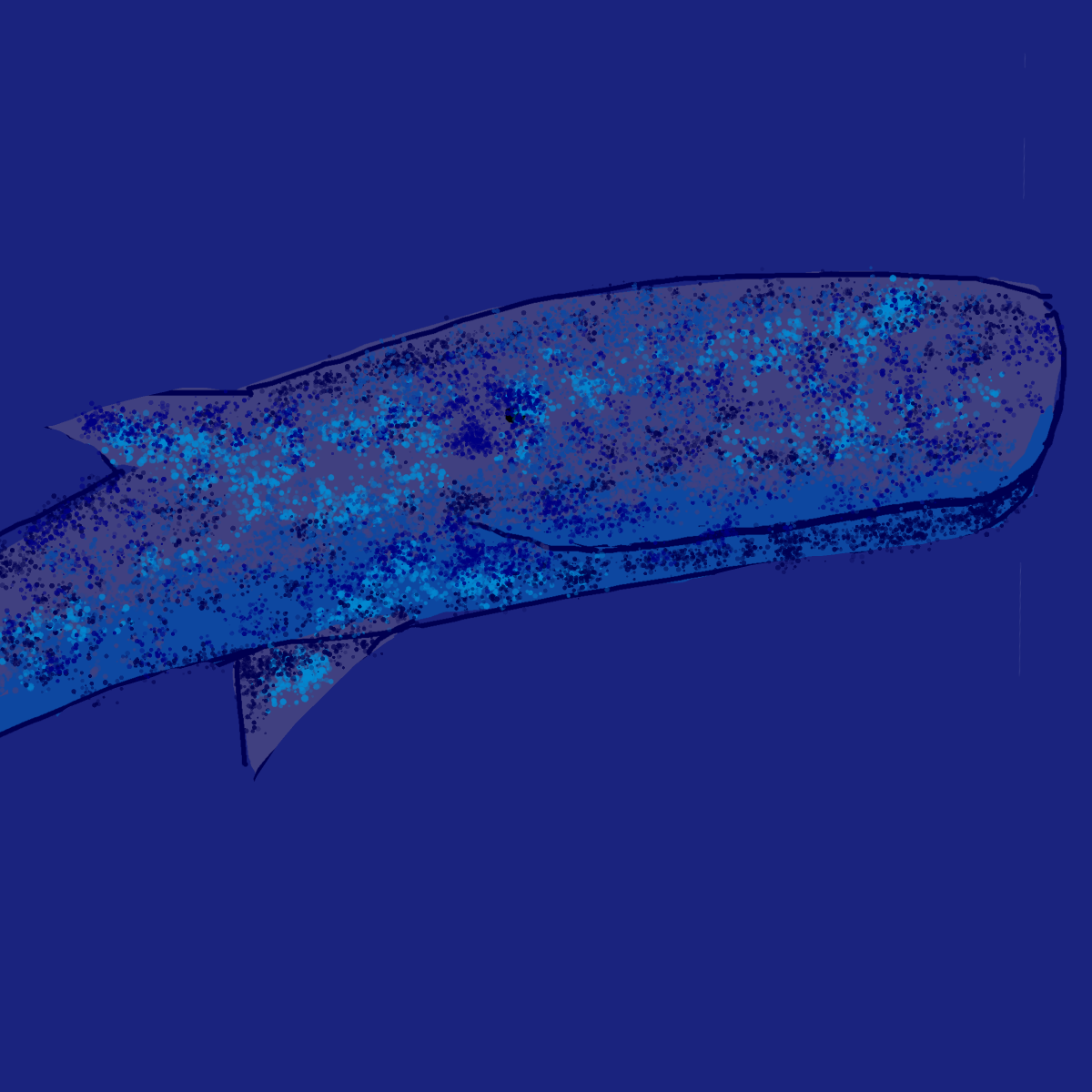 Whale drawing by tris - art _ wow