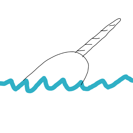 Narwhal drawing by Shandi