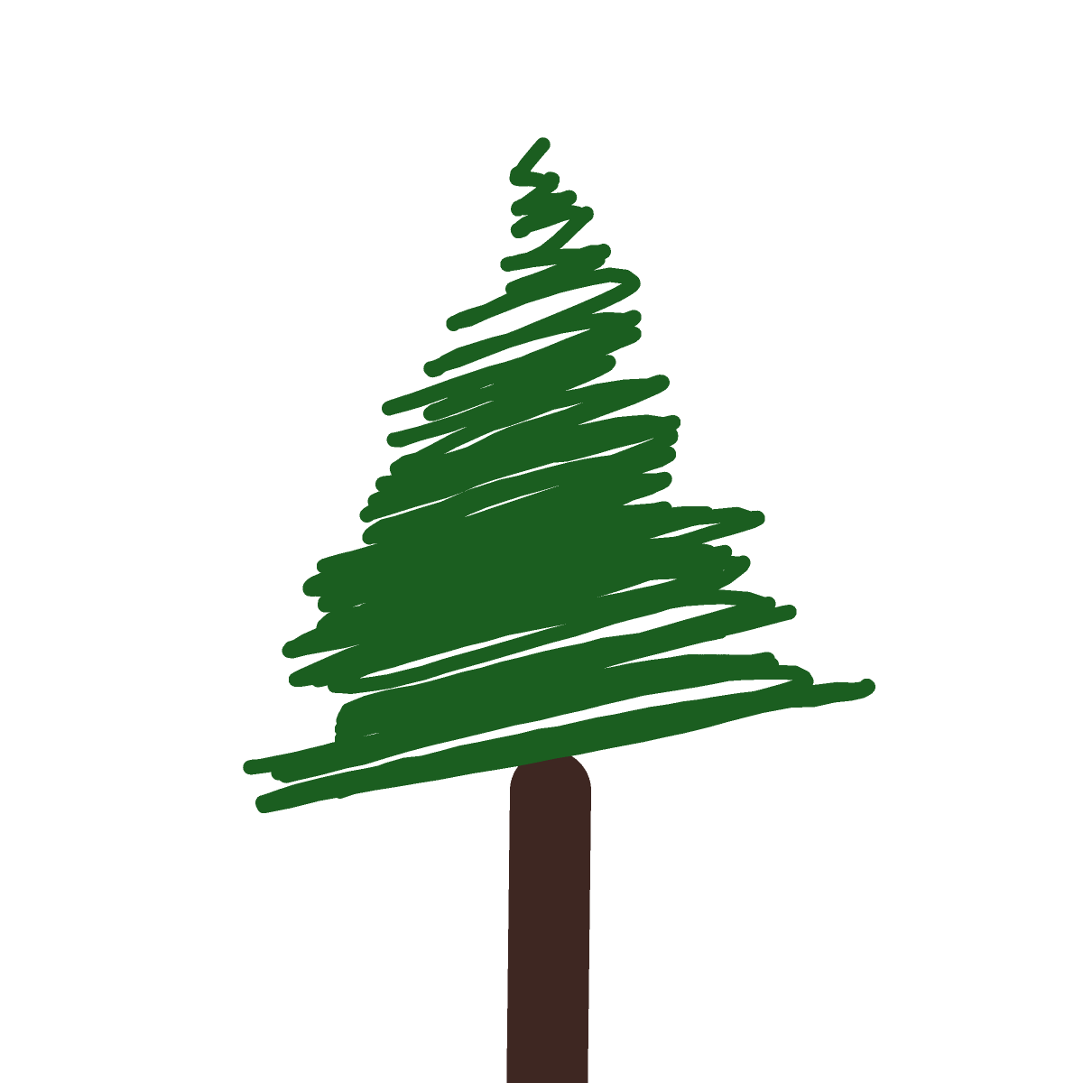 Pine Tree drawing by Shandi