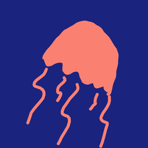 Jellyfish drawing by Bri3