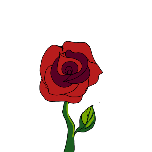 Rose drawing by Timmie