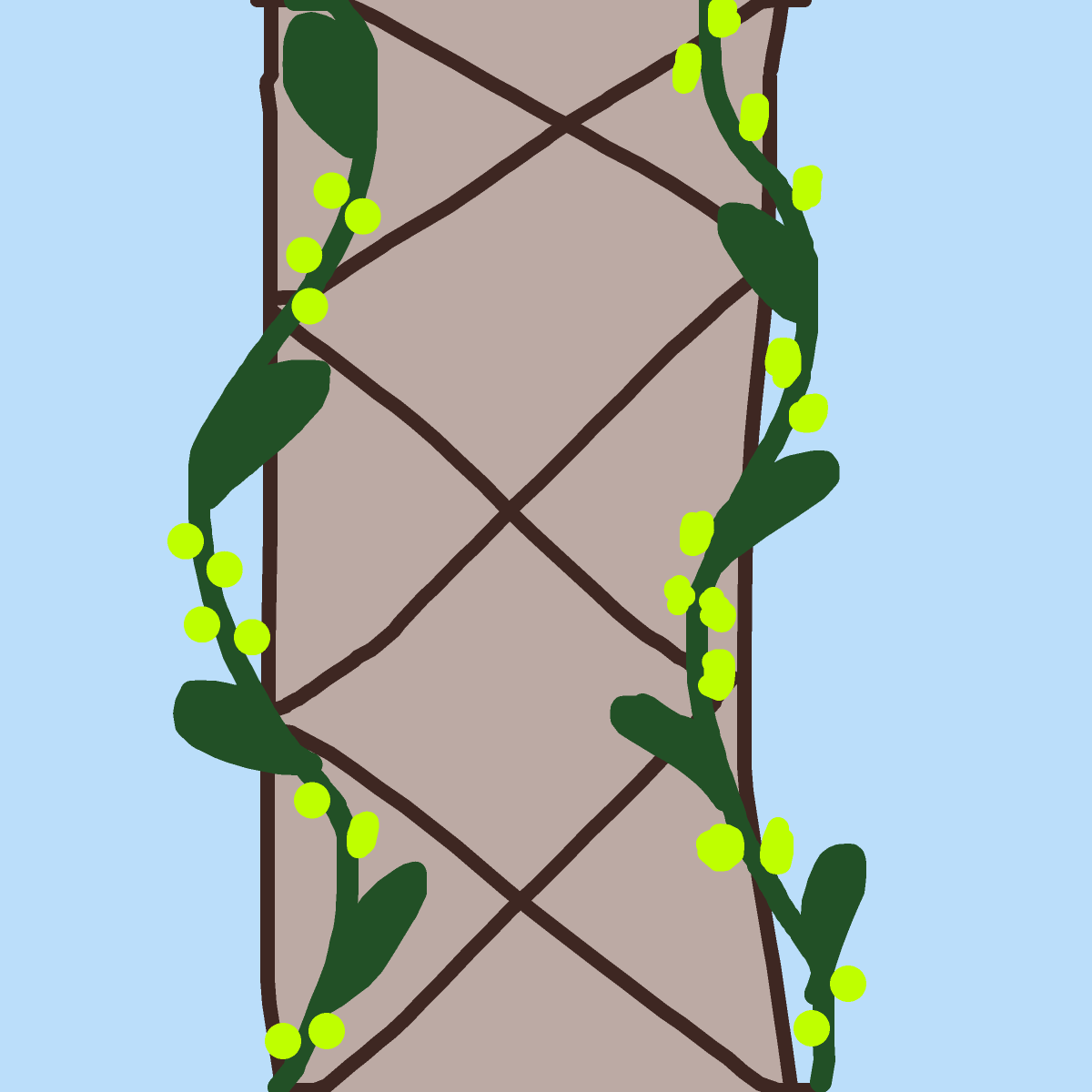 Vine drawing by ms lady