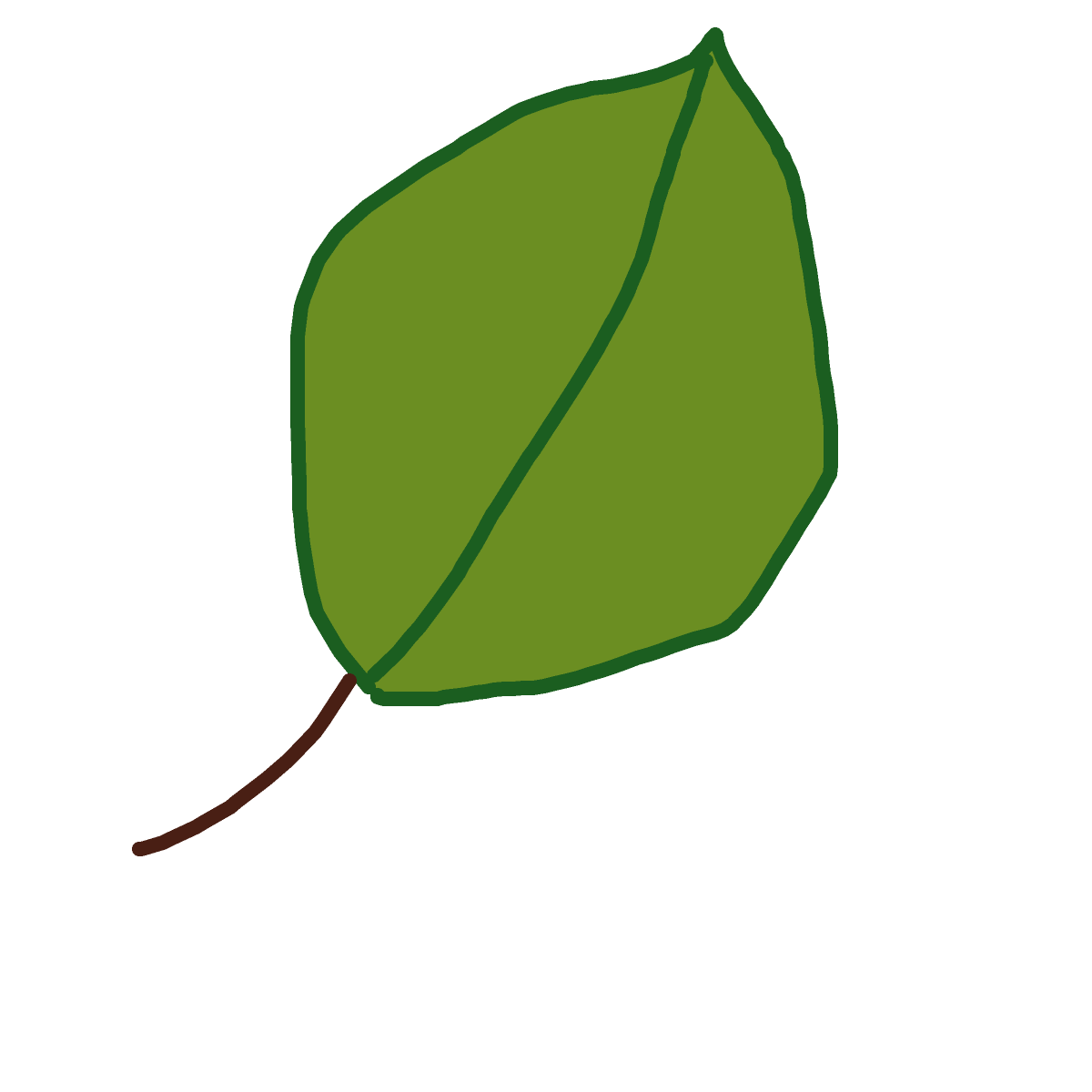 Spinach drawing by bia