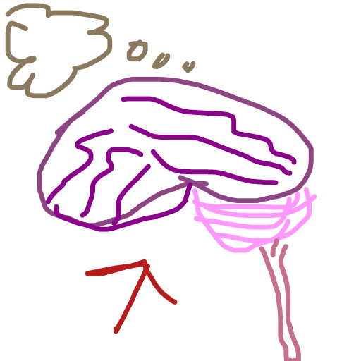 Brain drawing by babitheartist