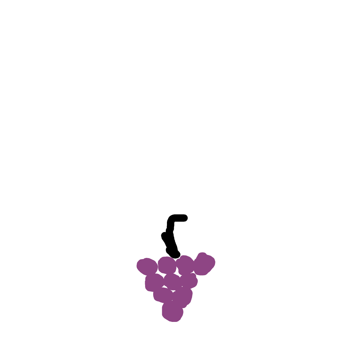 Grapes drawing by rose